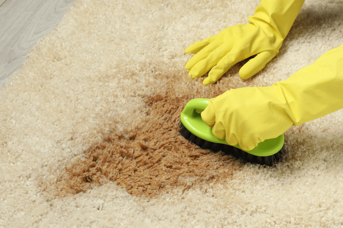 how to remove paint from carpet