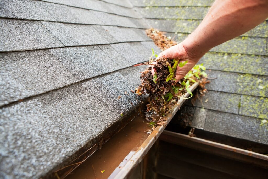 How Often Should I Clean My Gutters